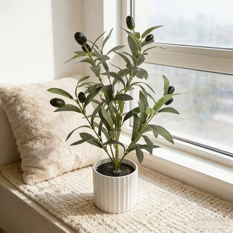 Mini Olive Tree Decoration on a windowsill