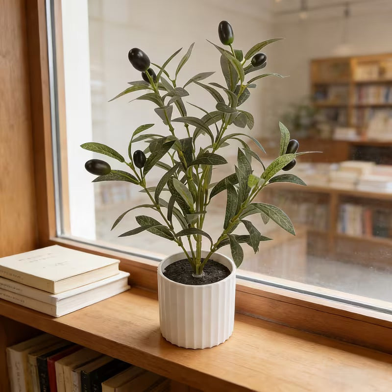 Mini Olive Tree Decoration on a shelf